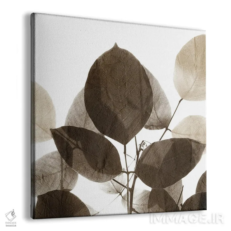 تابلو مینیمال برگ های شکلاتی I اثر کیمبرلی آلن - نمای پرسپکتیو محصول