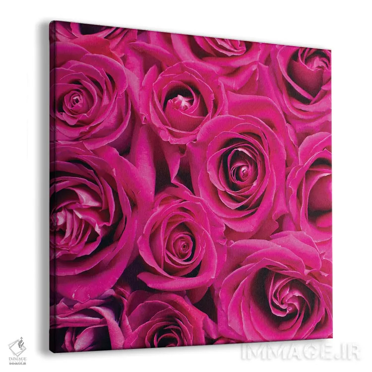 تابلو دکوراتیو رز پاریس ۱ اثر کیمبرلی آلن - نمای پرسپکتیو محصول