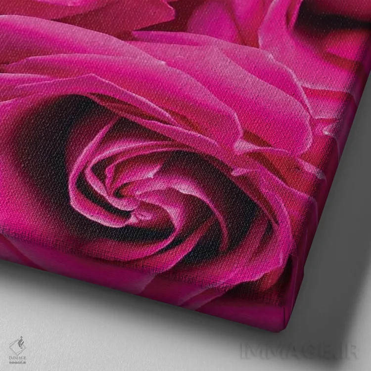 تابلو دکوراتیو رز پاریس ۱ اثر کیمبرلی آلن - نمای نزدیک بافت بوم