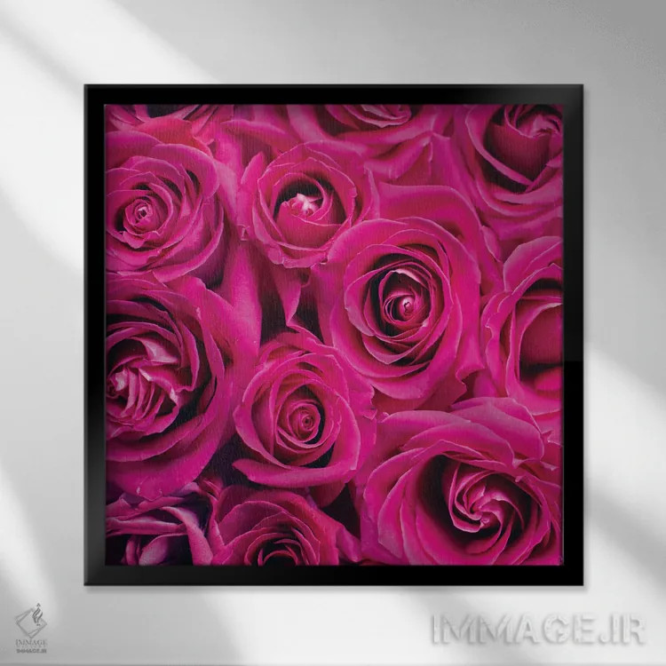 تابلو دکوراتیو رز پاریس ۱ اثر کیمبرلی آلن - نمای قابدار مشکی