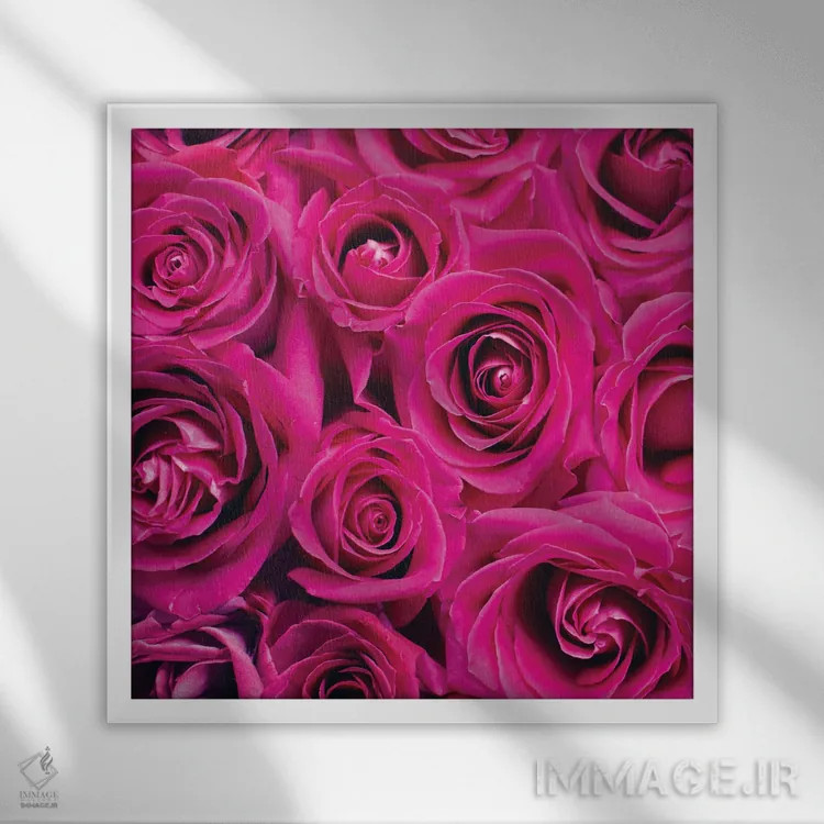 تابلو دکوراتیو رز پاریس ۱ اثر کیمبرلی آلن - نمای قابدار سفید