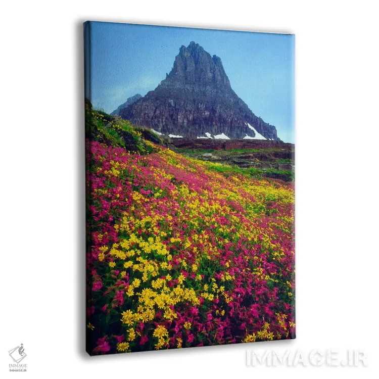 تابلو دکوراتیو منظره تابستانی، پارک ملی گلیشر، مونتانا، آمریکا اثر کریستوفر تالبوت فرانک - نمای پرسپکتیو محصول