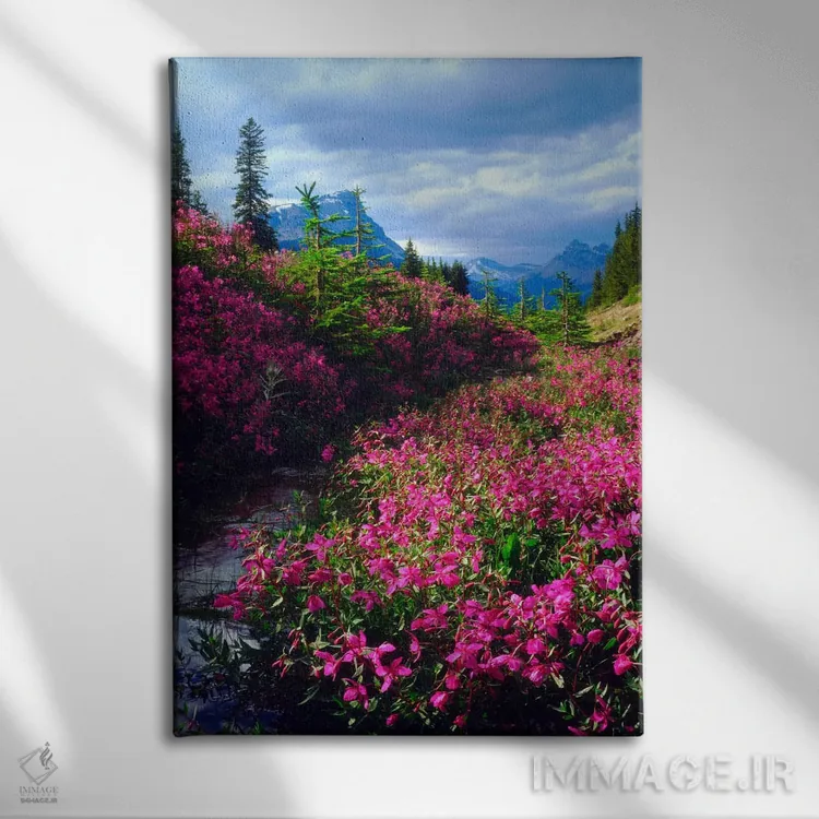 تابلو دکوراتیو گل های وحشی، پارک ملی بنف، آلبرتا، کانادا اثر کریستوفر تالبوت فرانک - نمای روبهرو روی دیوار