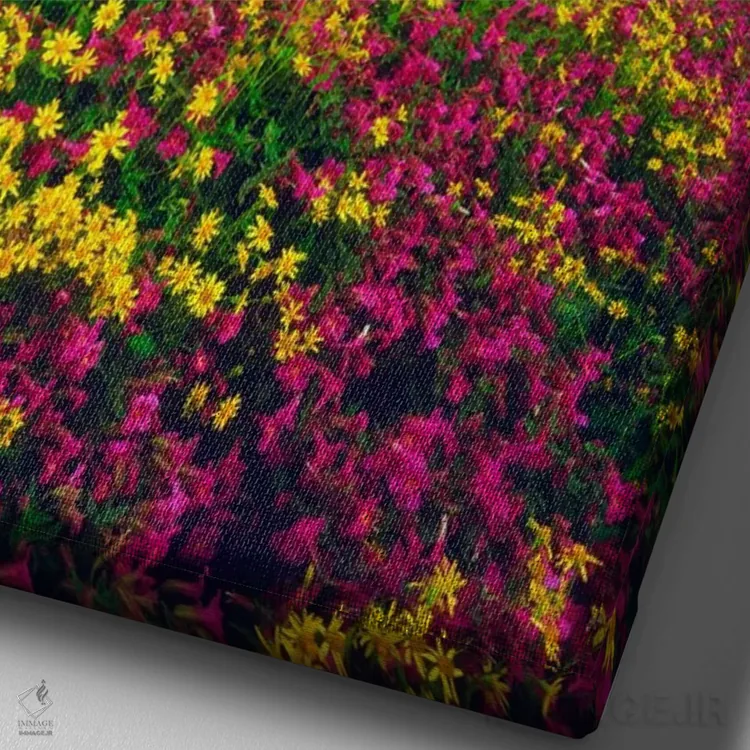 تابلو دکوراتیو منظره تابستانی، پارک ملی گلیشر، مونتانا، آمریکا اثر کریستوفر تالبوت فرانک - نمای نزدیک بافت بوم