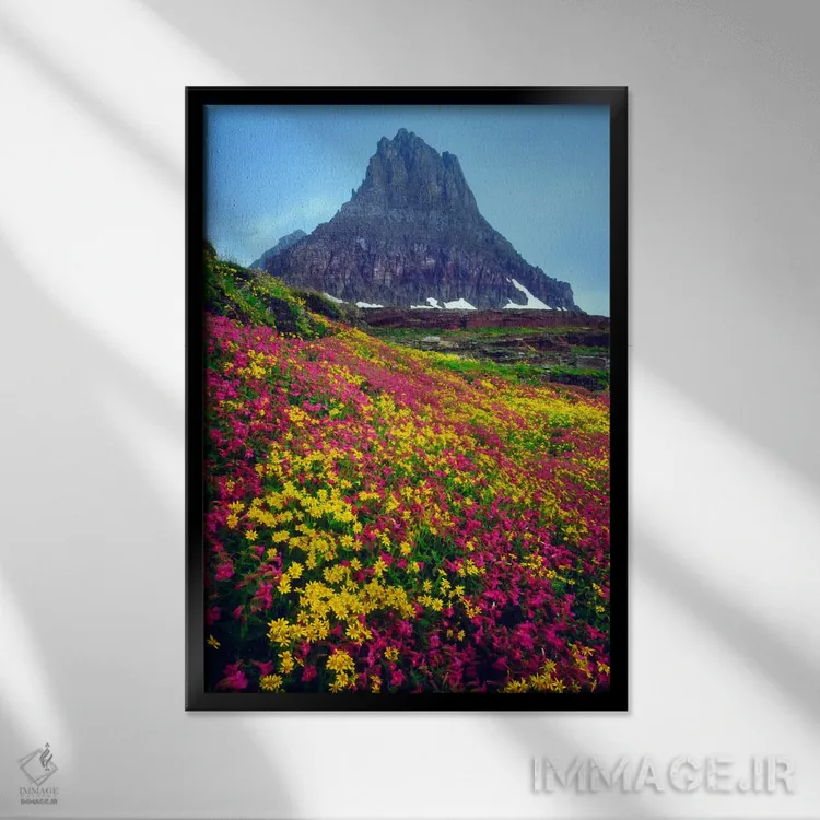 تابلو دکوراتیو منظره تابستانی، پارک ملی گلیشر، مونتانا، آمریکا اثر کریستوفر تالبوت فرانک - نمای قابدار مشکی