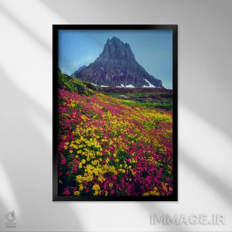 تابلو دکوراتیو منظره تابستانی، پارک ملی گلیشر، مونتانا، آمریکا اثر کریستوفر تالبوت فرانک - نمای قابدار مشکی