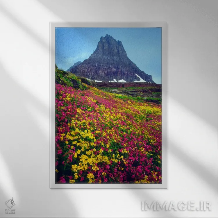 تابلو دکوراتیو منظره تابستانی، پارک ملی گلیشر، مونتانا، آمریکا اثر کریستوفر تالبوت فرانک - نمای قابدار سفید