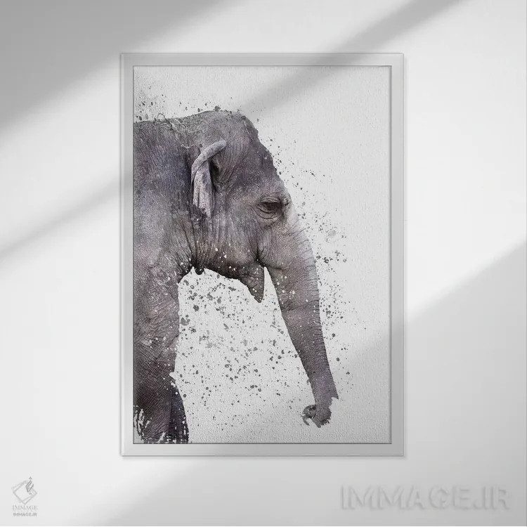 تابلو دکوراتیو فیل بزرگ اثر امانوئلا کاراتونی - نمای قابدار سفید