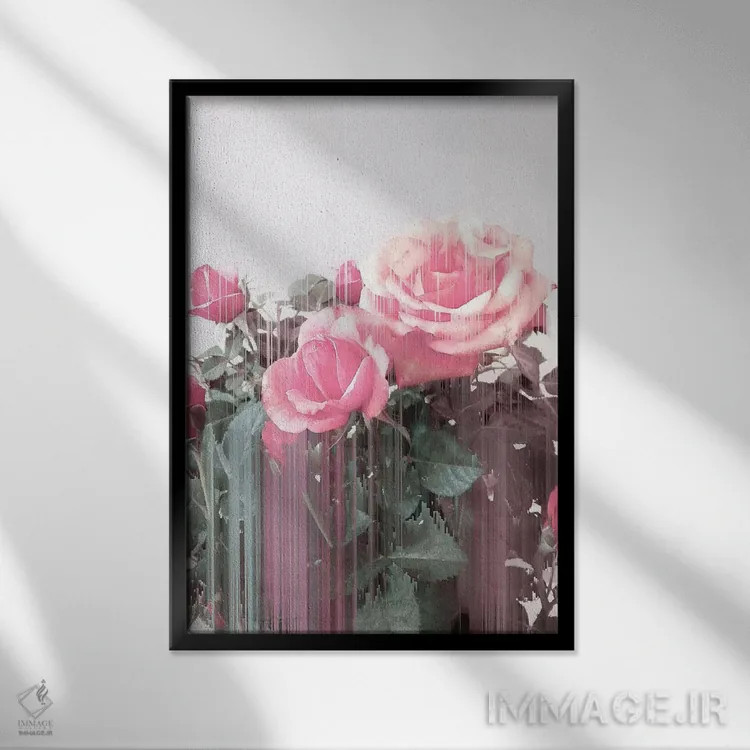 تابلو دکوراتیو رز تمام روز اثر امانوئلا کاراتونی - نمای قابدار مشکی