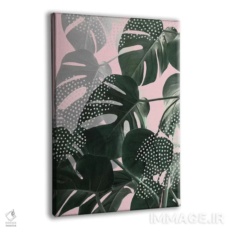 تابلو دکوراتیو برگ های مونسترا روی زمینه صورتی اثر امانوئلا کاراتونی - نمای پرسپکتیو محصول