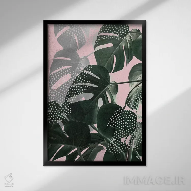 تابلو دکوراتیو برگ های مونسترا روی زمینه صورتی اثر امانوئلا کاراتونی - نمای قابدار مشکی