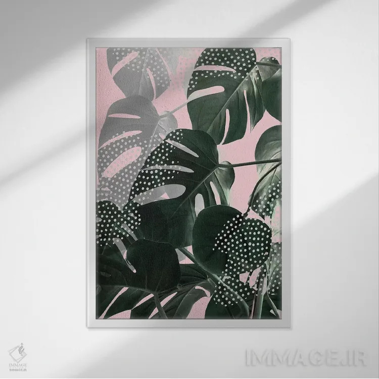 تابلو دکوراتیو برگ های مونسترا روی زمینه صورتی اثر امانوئلا کاراتونی - نمای قابدار سفید