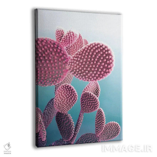 تابلو مدرن کاکتوس آب نباتی اثر امانوئلا کاراتونی - نمای پرسپکتیو محصول