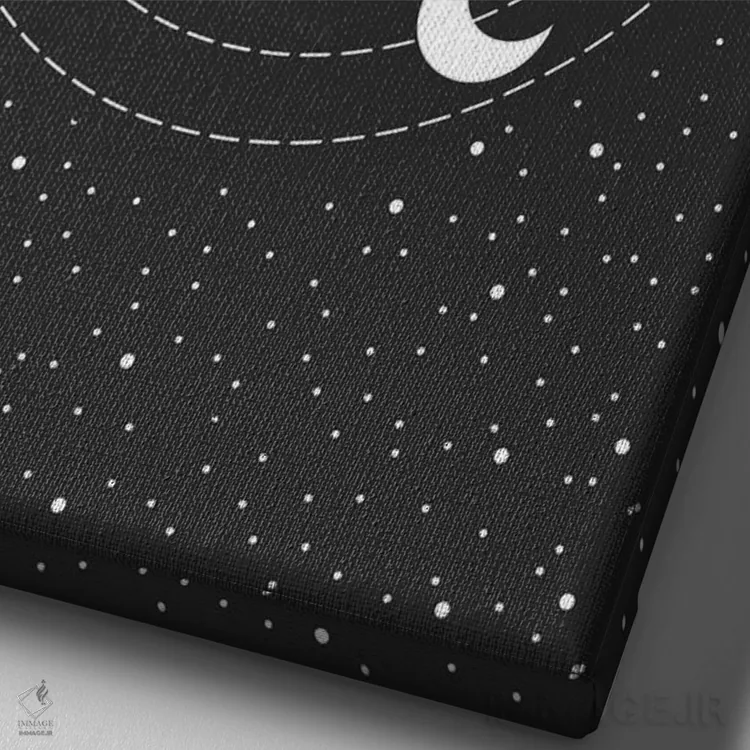 تابلو دکوراتیو گربه فضایی اثر امانوئلا کاراتونی - نمای نزدیک بافت بوم