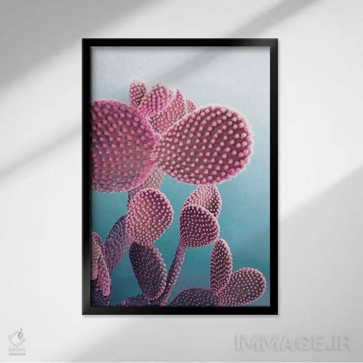 تابلو مدرن کاکتوس آب نباتی اثر امانوئلا کاراتونی - نمای قابدار مشکی