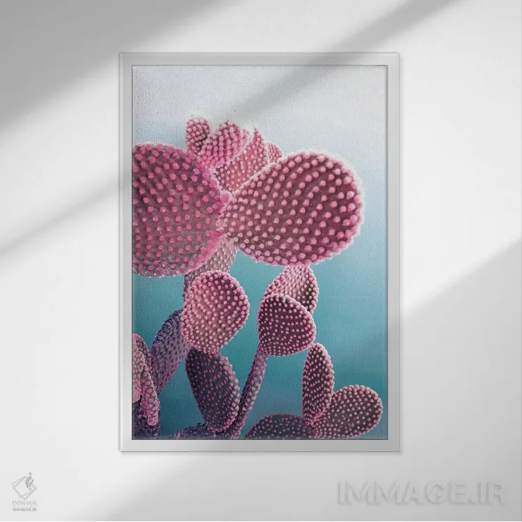 تابلو مدرن کاکتوس آب نباتی اثر امانوئلا کاراتونی - نمای قابدار سفید