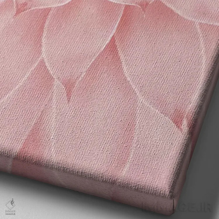 تابلو دکوراتیو ساکولنت صورتی ملایم اثر امانوئلا کاراتونی - نمای نزدیک بافت بوم