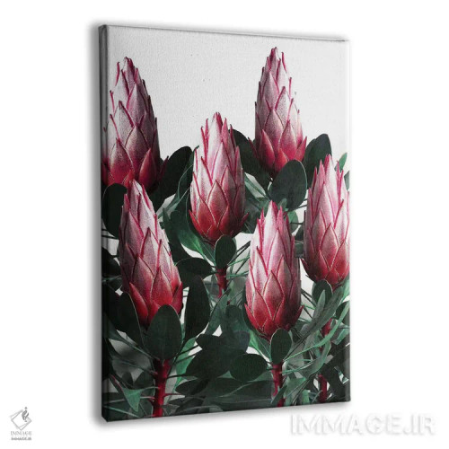 تابلو دکوراتیو پروتیا سیناروئیدس اثر امانوئلا کاراتونی - نمای پرسپکتیو محصول