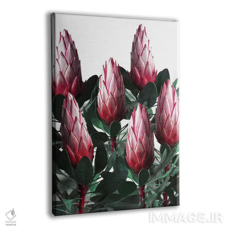 تابلو دکوراتیو پروتیا سیناروئیدس اثر امانوئلا کاراتونی - نمای پرسپکتیو محصول