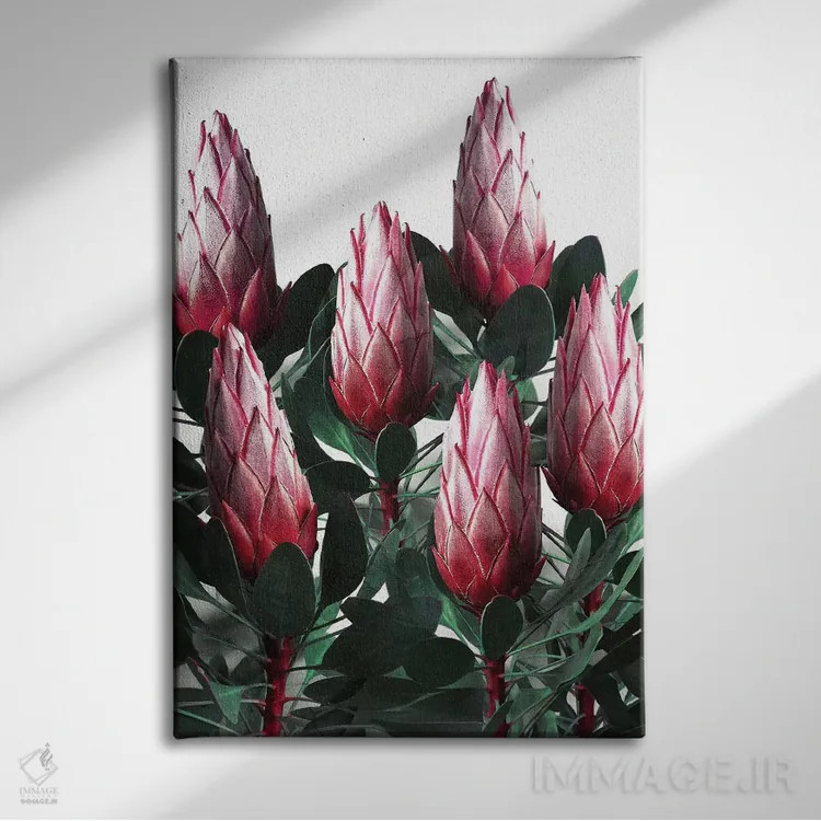 تابلو دکوراتیو پروتیا سیناروئیدس اثر امانوئلا کاراتونی - نمای روبهرو روی دیوار