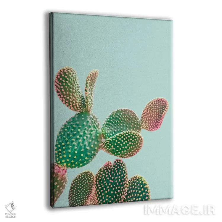 تابلو دکوراتیو کاکتوس پاستلی اثر امانوئلا کاراتونی - نمای پرسپکتیو محصول