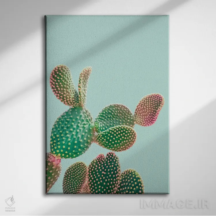 تابلو دکوراتیو کاکتوس پاستلی اثر امانوئلا کاراتونی - نمای روبهرو روی دیوار