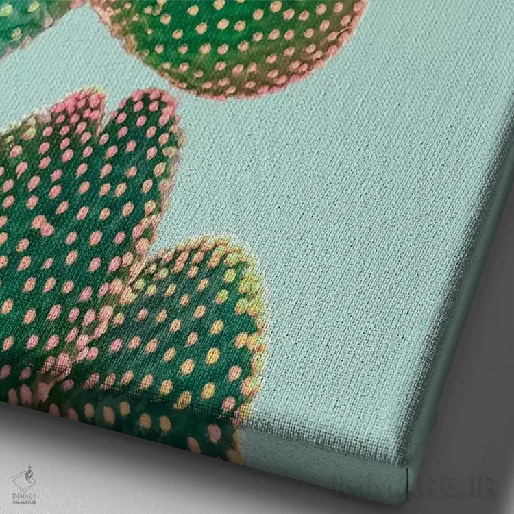 تابلو دکوراتیو کاکتوس پاستلی اثر امانوئلا کاراتونی - نمای نزدیک بافت بوم