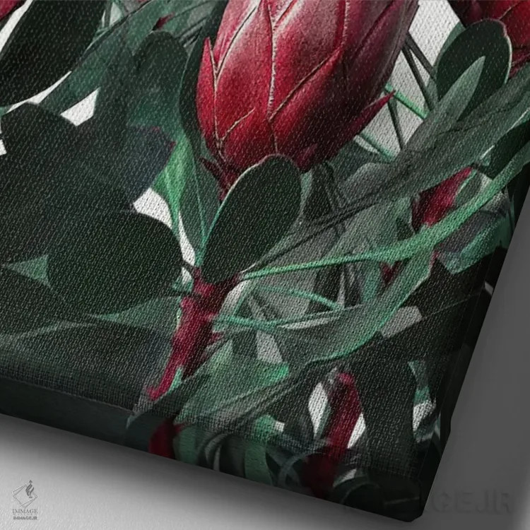 تابلو دکوراتیو پروتیا سیناروئیدس اثر امانوئلا کاراتونی - نمای نزدیک بافت بوم