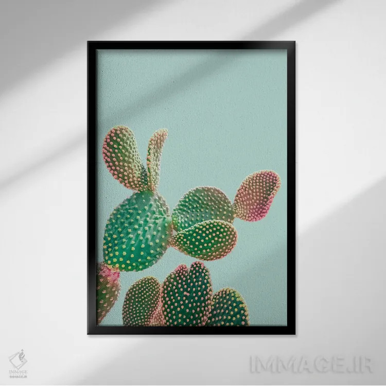 تابلو دکوراتیو کاکتوس پاستلی اثر امانوئلا کاراتونی - نمای قابدار مشکی