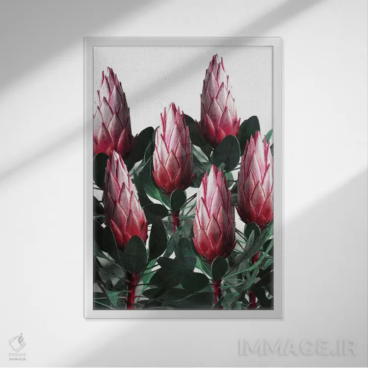 تابلو دکوراتیو پروتیا سیناروئیدس اثر امانوئلا کاراتونی - نمای قابدار سفید