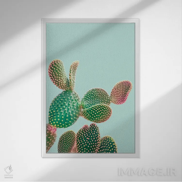 تابلو دکوراتیو کاکتوس پاستلی اثر امانوئلا کاراتونی - نمای قابدار سفید