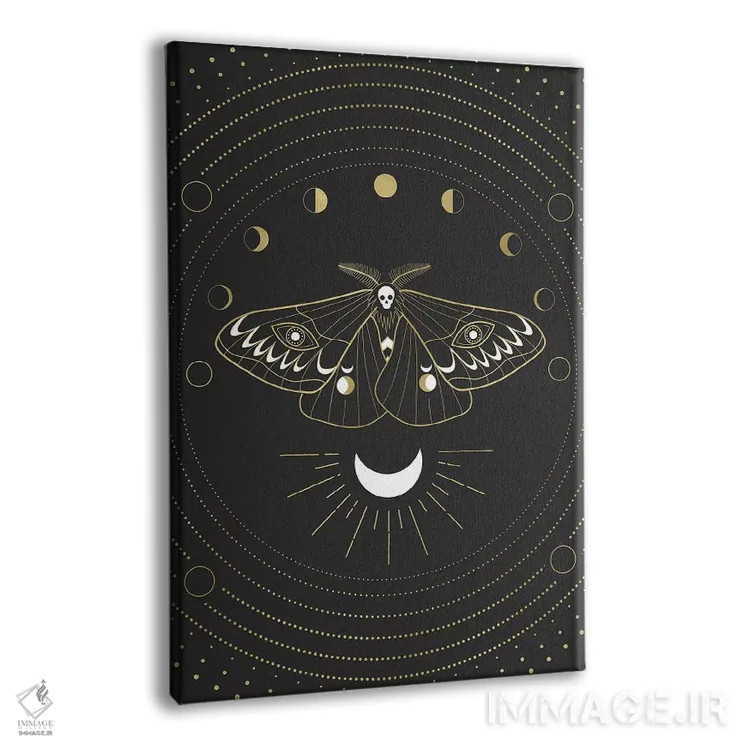 تابلو دکوراتیو مرد پروانه ای ماه اثر امانوئلا کاراتونی - نمای پرسپکتیو محصول
