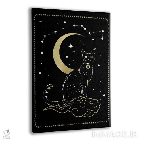 تابلو دکوراتیو صورت فلکی گربه اثر امانوئلا کاراتونی - نمای پرسپکتیو محصول