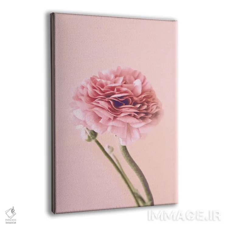 تابلو مدرن دگمه طلایی صورتی اثر امانوئلا کاراتونی - نمای پرسپکتیو محصول