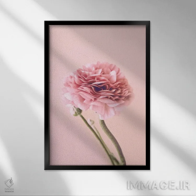 تابلو مدرن دگمه طلایی صورتی اثر امانوئلا کاراتونی - نمای قابدار مشکی