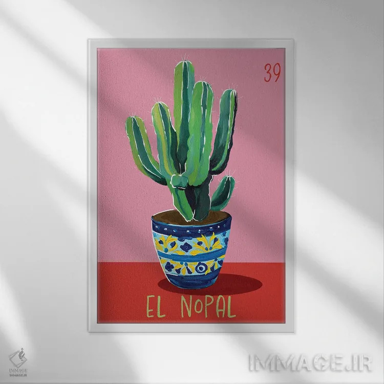 تابلو دکوراتیو کاکتوس اثر امانوئلا کاراتونی - نمای قابدار سفید