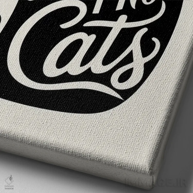 تابلو دکوراتیو حامی انتخاب، حامی فمنیسم، حامی گربه ها اثر امانوئلا کاراتونی - نمای نزدیک بافت بوم