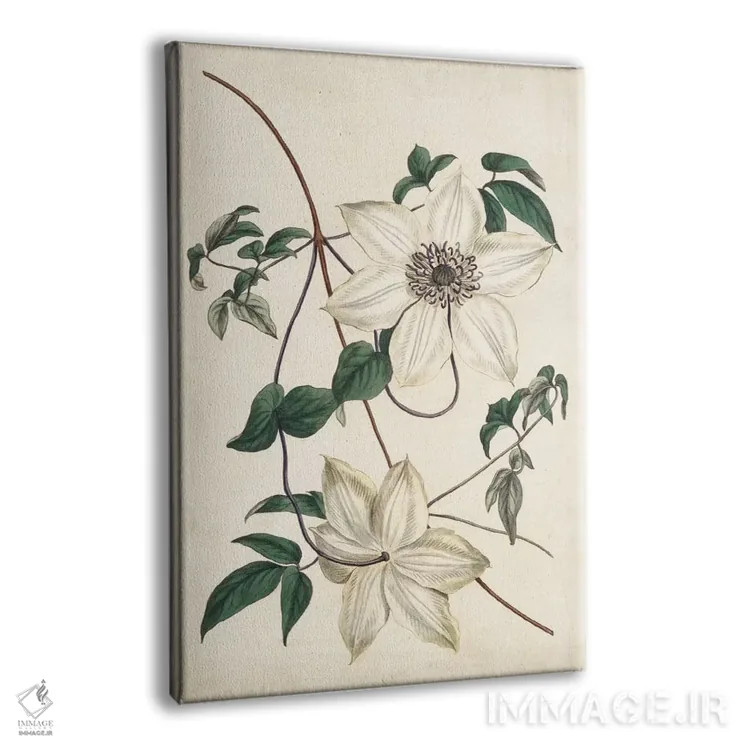 تابلو دکوراتیو باغ عاجی ۲ اثر کرتیس - نمای پرسپکتیو محصول