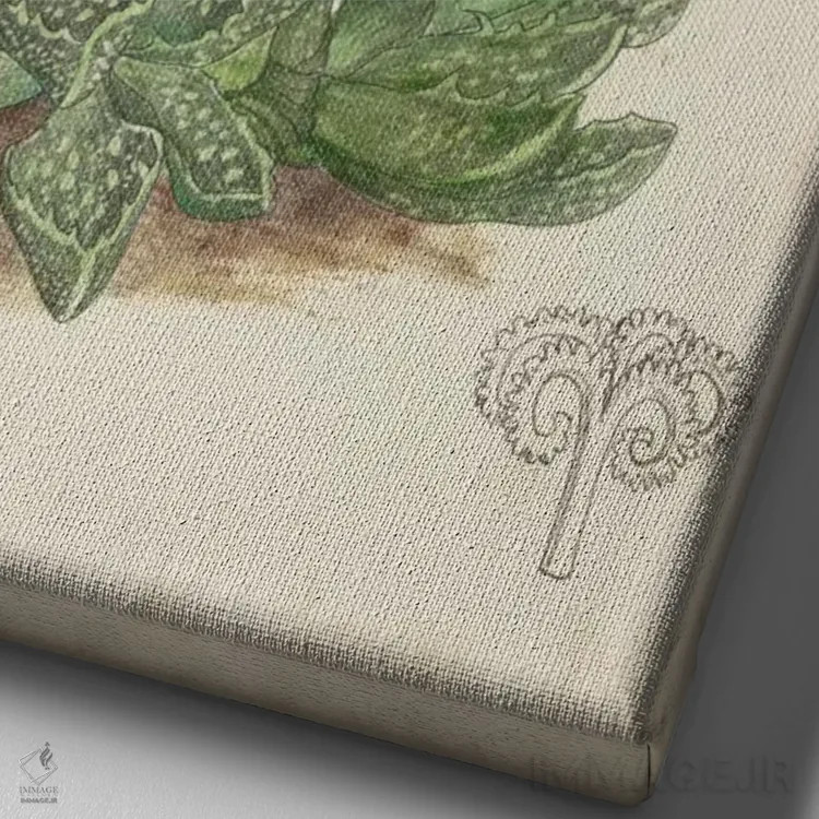 تابلو دکوراتیو کاکتوس عتیقه ۵ اثر کرتیس - نمای نزدیک بافت بوم