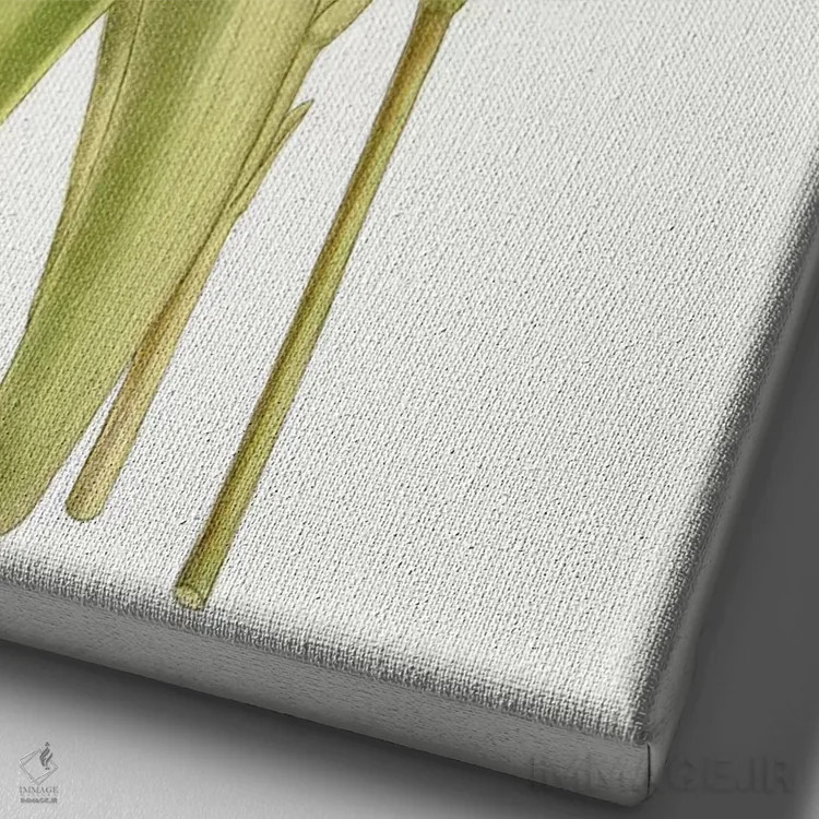 تابلو دکوراتیو لاله های کرتیس ۷ اثر کرتیس - نمای نزدیک بافت بوم