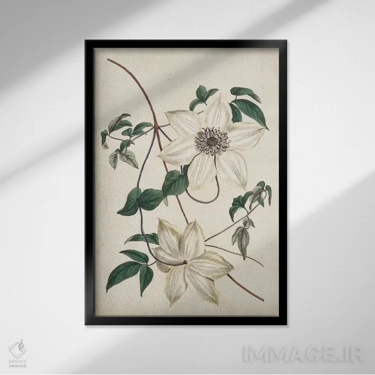 تابلو دکوراتیو باغ عاجی ۲ اثر کرتیس - نمای قابدار مشکی