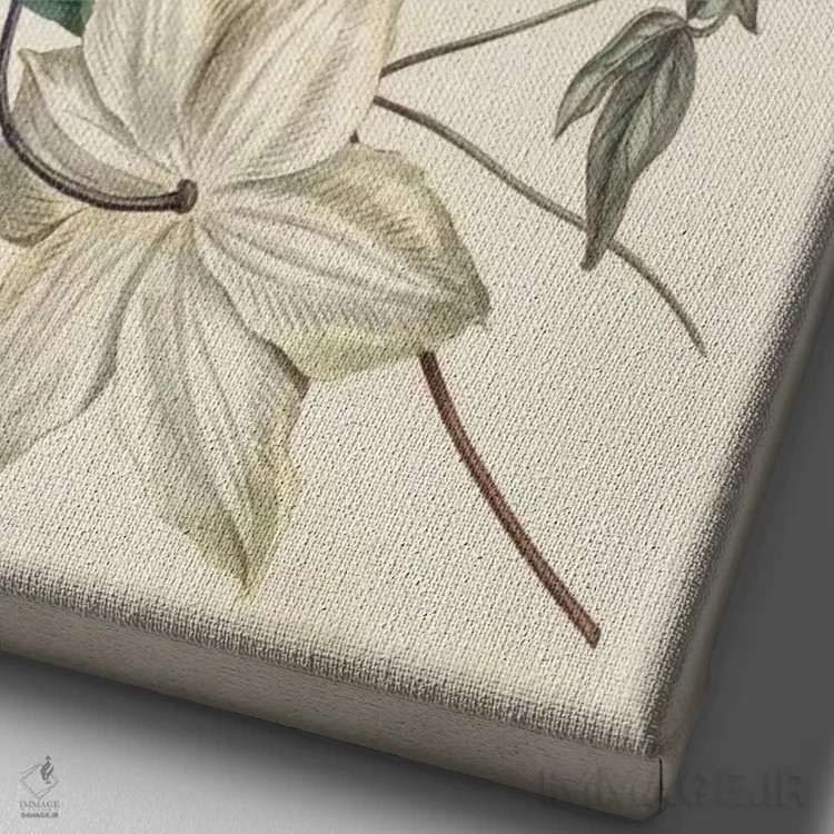 تابلو دکوراتیو باغ عاجی ۲ اثر کرتیس - نمای نزدیک بافت بوم