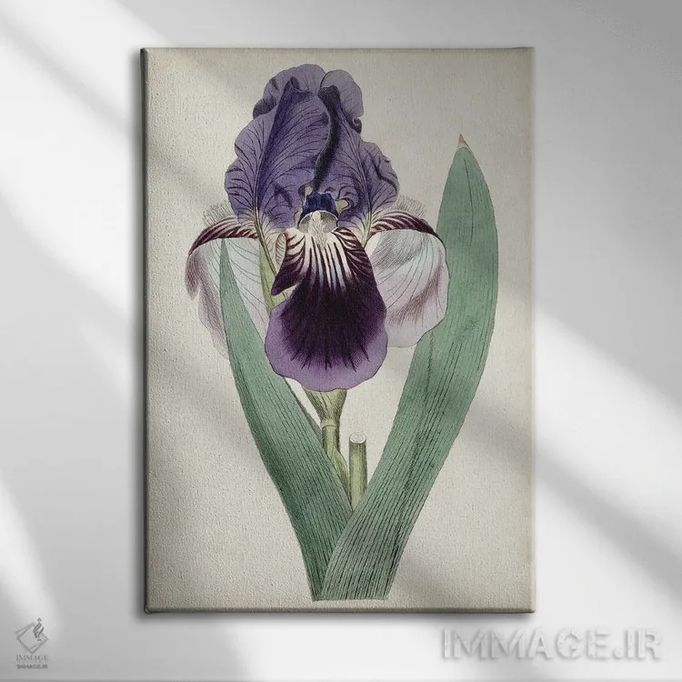 تابلو دکوراتیو گوهرهای باغ ۶ اثر کرتیس - نمای روبهرو روی دیوار