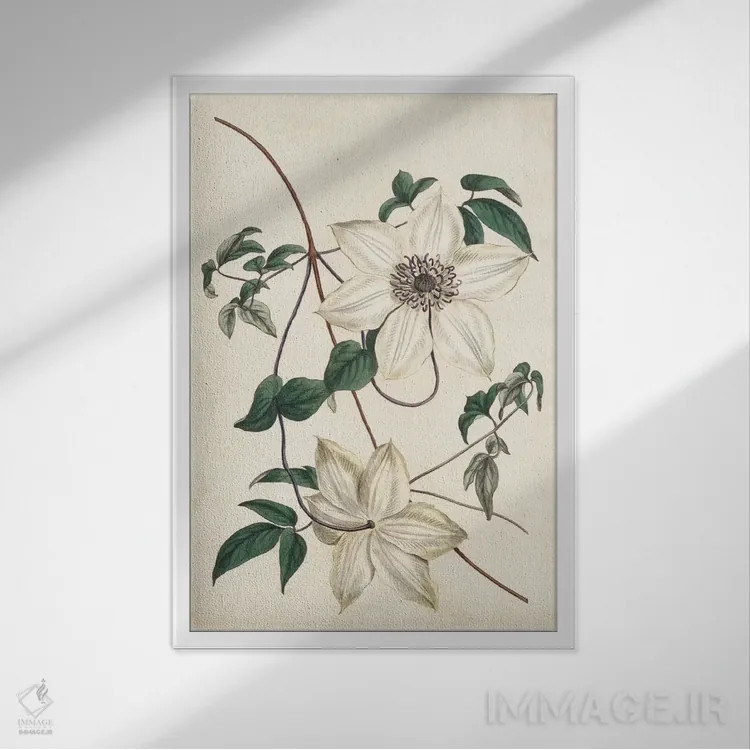 تابلو دکوراتیو باغ عاجی ۲ اثر کرتیس - نمای قابدار سفید