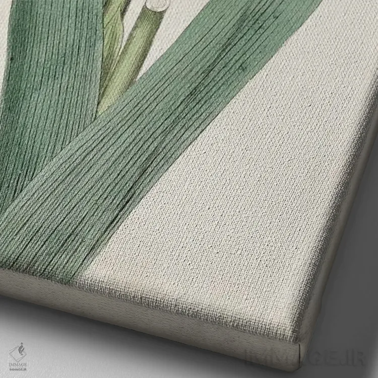 تابلو دکوراتیو گوهرهای باغ ۶ اثر کرتیس - نمای نزدیک بافت بوم