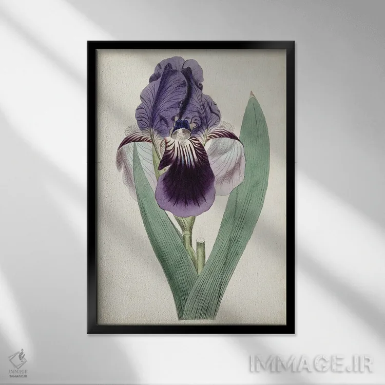 تابلو دکوراتیو گوهرهای باغ ۶ اثر کرتیس - نمای قابدار مشکی