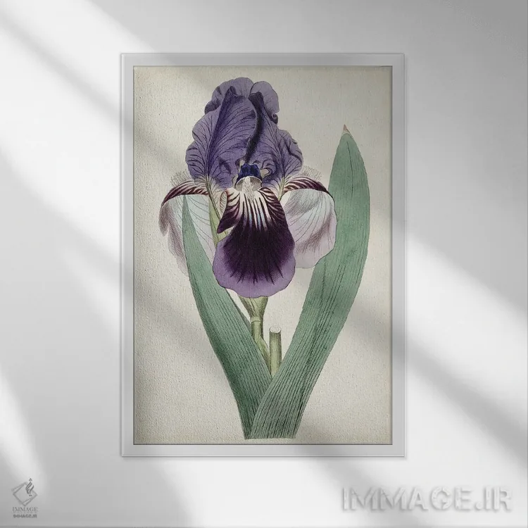 تابلو دکوراتیو گوهرهای باغ ۶ اثر کرتیس - نمای قابدار سفید