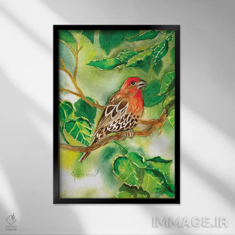 تابلو دکوراتیو فنچ خانگی اثر کریستین ریشو - نمای قابدار مشکی