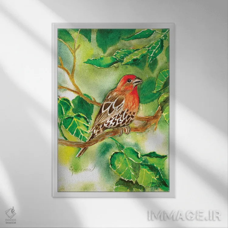 تابلو دکوراتیو فنچ خانگی اثر کریستین ریشو - نمای قابدار سفید