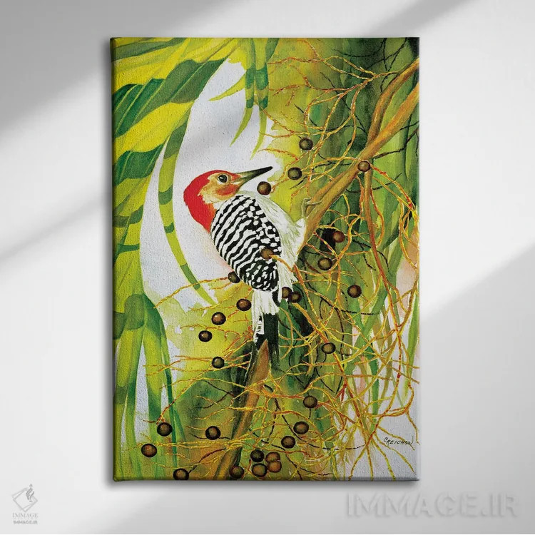 تابلو دکوراتیو دارکوب شکم قرمز اثر کریستین ریشو - نمای روبهرو روی دیوار